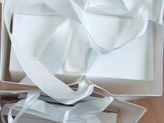 -BLACKSWAN黑天鹅(环球店)