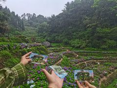 -鼓岭旅游度假区