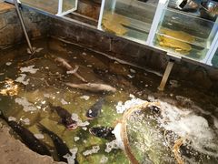 水产区-井水小厨·湘菜(活力广场店)