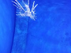 -多彩贵州城极地海洋世界