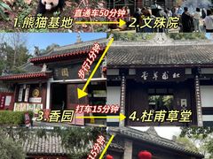 -成都大熊猫繁育研究基地