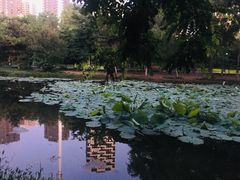 景点-长白岛森林公园