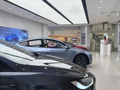 -TESLA 特斯拉(郑州正弘城体验店)