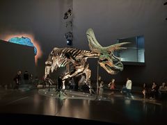 -墨尔本博物馆(Melbourne Museum)