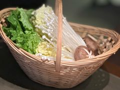 -同仁四季椰子鸡(宝安壹方城店)