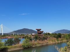 -芒洲湿地公园