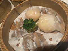 -悦景酒家(罗湖店)