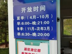 -莲花池公园