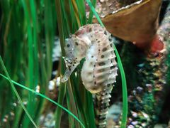 -沈阳海洋探索中心