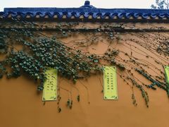 -西园戒幢律寺