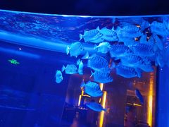 -上和臻品中国菜(花园街店)