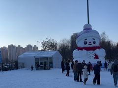 -沈阳奥体冰雪嘉年华