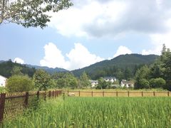 -毛泽东同志旧居