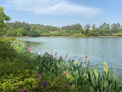 -南国桃园旅游度假区