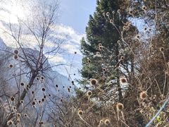 -叠溪松坪沟景区