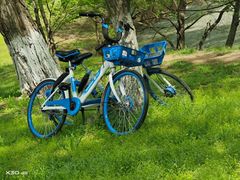 -长白岛森林公园