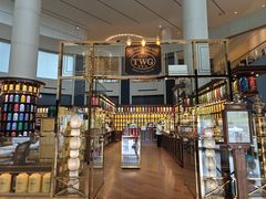 -新加坡瑞士史丹福酒店