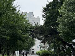 -护国法轮寺