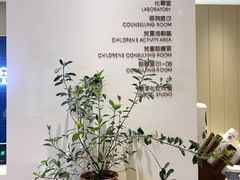 -柏乐口腔医院·舒适化无痛种植牙中心(东盟商务区院)