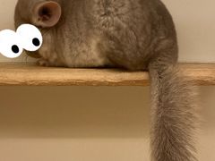 -龙猫仔乐园(惠福东路店)