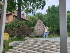 -刘公岛景区