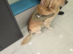 -天宠宠物医院24小时·急重症诊疗中心·全科·腔镜特色(和平分院)