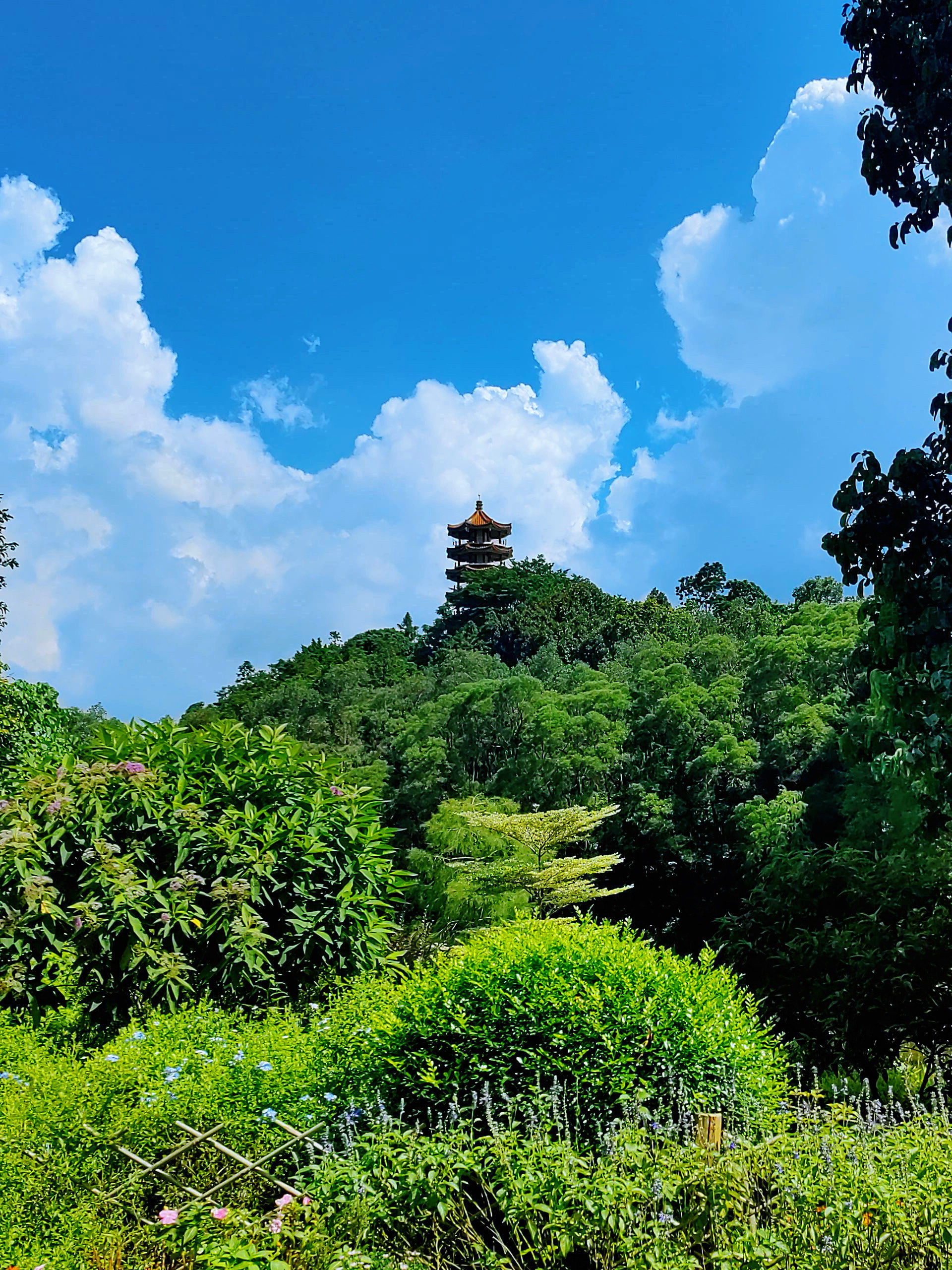深圳的绿宝石,拍照打卡新圣地❗️