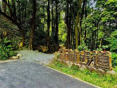 -广州市帽峰山景区