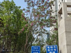 -北京理工大学(中关村校区)
