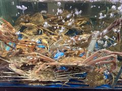 -蟹之国·精品蟹料理(极地店)