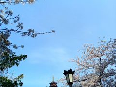 -鸡鸣赐茶(鸡鸣寺路店)