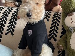 -FAELING PETS美天灵宠物(富力广场店)