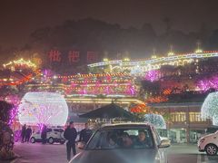 -枇杷园食为鲜火锅(南山店)