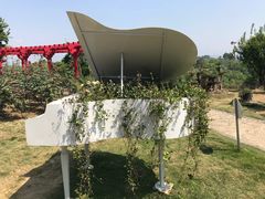 -都江堰玫瑰花溪谷