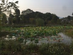 -上甘棠村