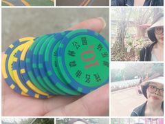 -广东茂名森林公园