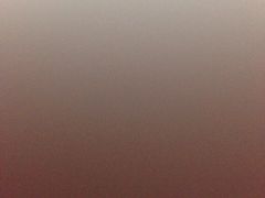 -龙岩东方凯悦商务酒店(国际美食城店)