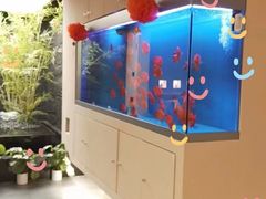 -宫七SPA·高端Massage(浦东大道店)