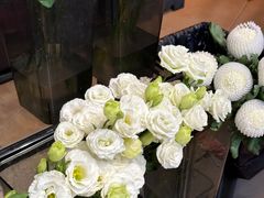 -ChaKo Flora ·茶子花艺 (市北店)