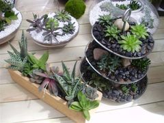 -荷兰布尔玛国际花艺学院