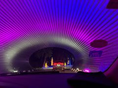 -枫花园汽车电影院(朝阳公园店)