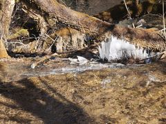 -九寨沟-树正沟