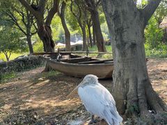 -无锡动物园·太湖欢乐园