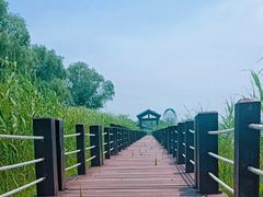 -苏州太湖湖滨国家湿地公园