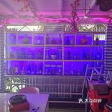 【三亚day1】适合海边蹦迪 喝点小酒吃海鲜