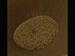 -二七友名焖子铺