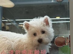 -FAELING PETS美天灵宠物(合生汇店)