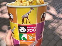 -成都动物园