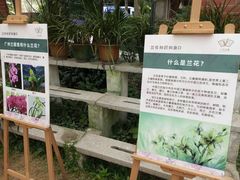 -广州兰圃
