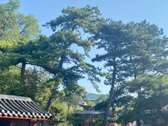-红螺寺